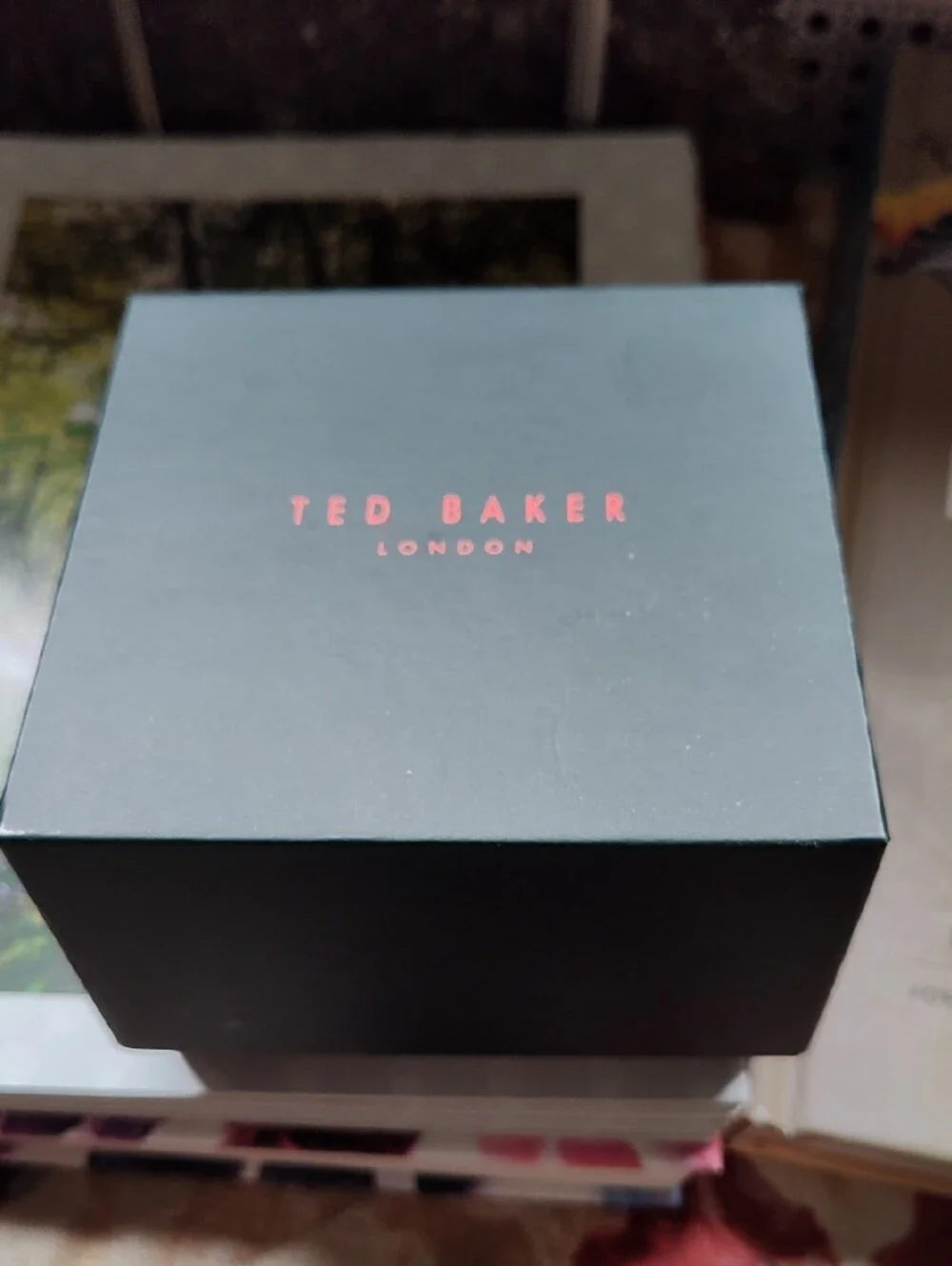 Ted Baker London Navy Blue Dial Silver-Tone Watch with Blue Leather Strap
